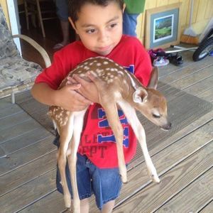 Meet your Posher, Alfonso